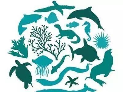 龍魚一周喂一次可以嗎視頻：龍魚一周喂一次可以嗎？深度解析龍魚喂養頻率之謎