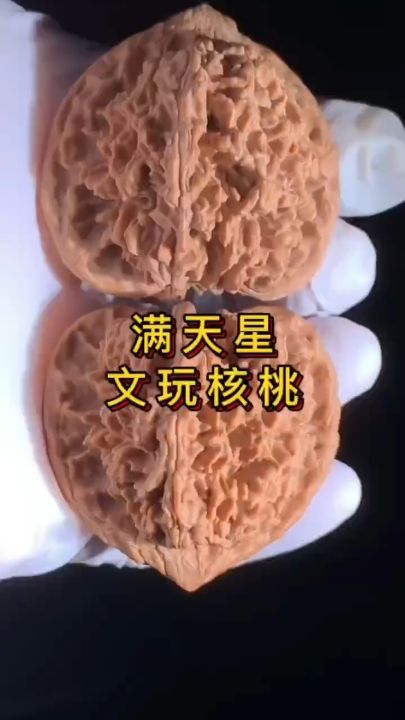 滿天星核桃 滿天星核桃 龍魚論壇