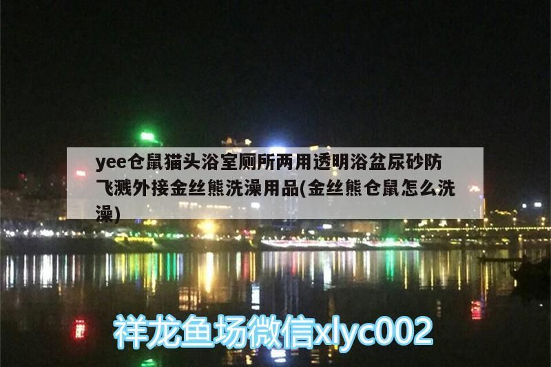 飼料 yee倉鼠貓頭浴室廁所兩用透明浴盆尿砂防飛濺外接金絲熊洗澡用品(金絲熊倉鼠怎么洗澡) yee yee倉鼠貓頭浴室廁所兩用透明浴盆尿砂防飛濺外接金絲熊洗澡用品(金絲熊倉鼠怎么洗澡) yee倉鼠貓頭浴室廁所兩用透明浴盆尿砂防飛濺外接金絲熊洗澡用品(金絲熊倉鼠怎么洗澡) yee
