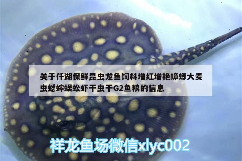魚缸用增氧泵價格是多少:魚缸增氧機-xtrac增氧機-xtrac增氧機 關于仟湖保鮮昆蟲龍魚飼料增紅增艷蟑螂大麥蟲蟋蟀蜈蚣蝦干蟲干G2魚糧的信息 仟湖 關于仟湖保鮮昆蟲龍魚飼料增紅增艷蟑螂大麥蟲蟋蟀蜈蚣蝦干蟲干G2魚糧的信息 關于仟湖保鮮昆蟲龍魚飼料增紅增艷蟑螂大麥蟲蟋蟀蜈蚣蝦干蟲干G2魚糧的信息 仟湖