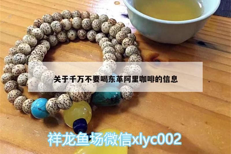 關于千萬不要喝東革阿里咖啡的信息