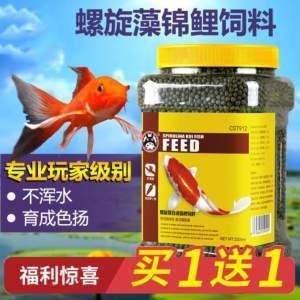 觀賞魚吃什么飼料最好（如何選擇觀賞魚飼料）