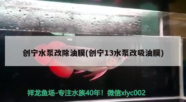創寧水泵改除油膜(創寧13水泵改吸油膜)