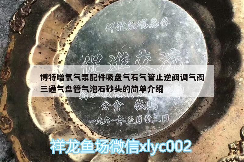 博特增氧氣泵配件吸盤氣石氣管止逆閥調氣閥三通氣盤管氣泡石砂頭的簡單介紹