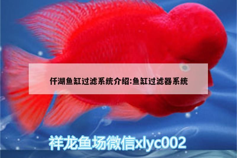 仟湖魚缸過濾系統介紹:魚缸過濾器系統