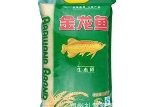 金龍魚批發(fā)價格多少 金龍魚批發(fā)價格多少 龍魚百科 第1張