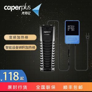 龍魚養幾條好旺財風水圖解：龍魚數量與旺財風水的奧秘