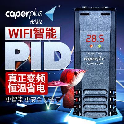 龍魚養幾條好旺財風水圖解：龍魚數量與旺財風水的奧秘