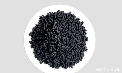 龍魚眼睛有白色絮狀物是什么病癥：龍魚眼睛白色絮狀物之謎，病因、診斷與防治全解析