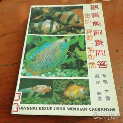觀賞魚能郵寄嗎現在多少錢（全球寵物航空運輸政策概覽不同國家和地區的航空公司對不起） 觀賞魚能郵寄嗎現在多少錢（全球寵物航空運輸政策概覽不同國家和地區的航空公司對不起） 可麗愛魚缸 第4張