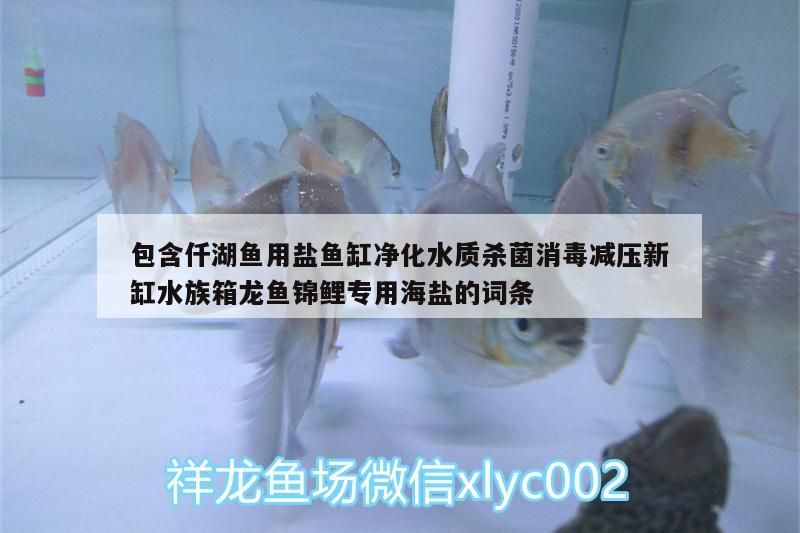 包含仟湖魚用鹽魚缸凈化水質殺菌消毒減壓新缸水族箱龍魚錦鯉專用海鹽的詞條 包含仟湖魚用鹽魚缸凈化水質殺菌消毒減壓新缸水族箱龍魚錦鯉專用海鹽的詞條 仟湖