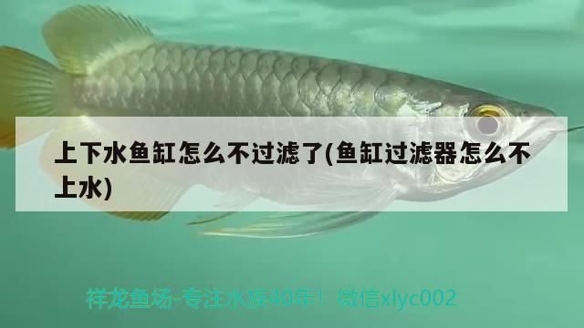 上下水魚缸怎么不過濾了(魚缸過濾器怎么不上水)