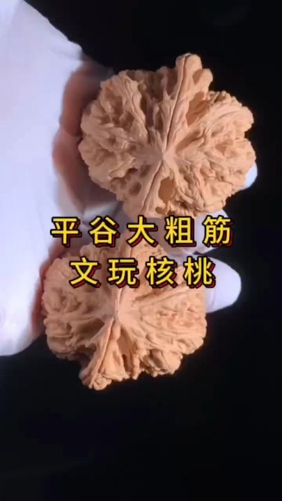 平谷大粗筋核桃