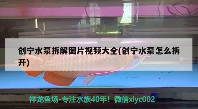 創寧水泵拆解圖片視頻大全(創寧水泵怎么拆開)