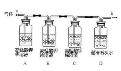 龍魚須子打卷了怎么辦：龍魚須子打卷，水下精靈的神秘語言