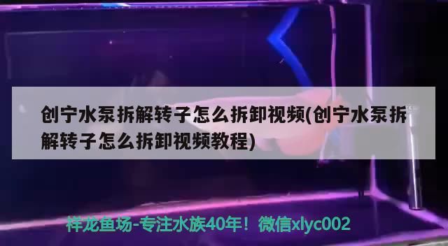 創寧水泵拆解轉子怎么拆卸視頻(創寧水泵拆解轉子怎么拆卸視頻教程)