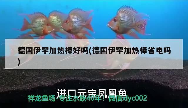 德國伊罕加熱棒好嗎(德國伊罕加熱棒省電嗎)