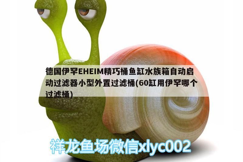 給大魚缸換水的頻率是固定的,而是需要根據多種因素來確定:給大魚缸換水的頻率不是固定的,而是需要根據多種因素來確定 德國伊罕EHEIM精巧桶魚缸水族箱自動啟動過濾器小型外置過濾桶(60缸用伊罕哪個過濾桶) 伊罕水族 德國伊罕EHEIM精巧桶魚缸水族箱自動啟動過濾器小型外置過濾桶(60缸用伊罕哪個過濾桶) 德國伊罕EHEIM精巧桶魚缸水族箱自動啟動過濾器小型外置過濾桶(60缸用伊罕哪個過濾桶) 伊罕水族