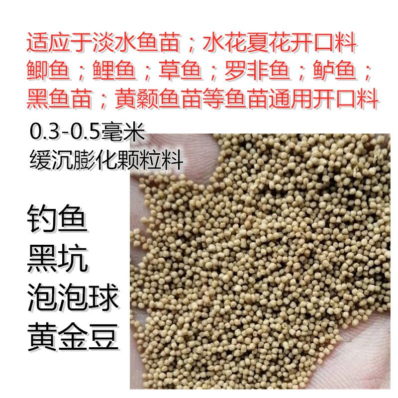 龍魚喂養(yǎng)溫度多少合適：龍魚喂養(yǎng)溫度，守護(hù)水中貴族的溫?zé)崦艽a
