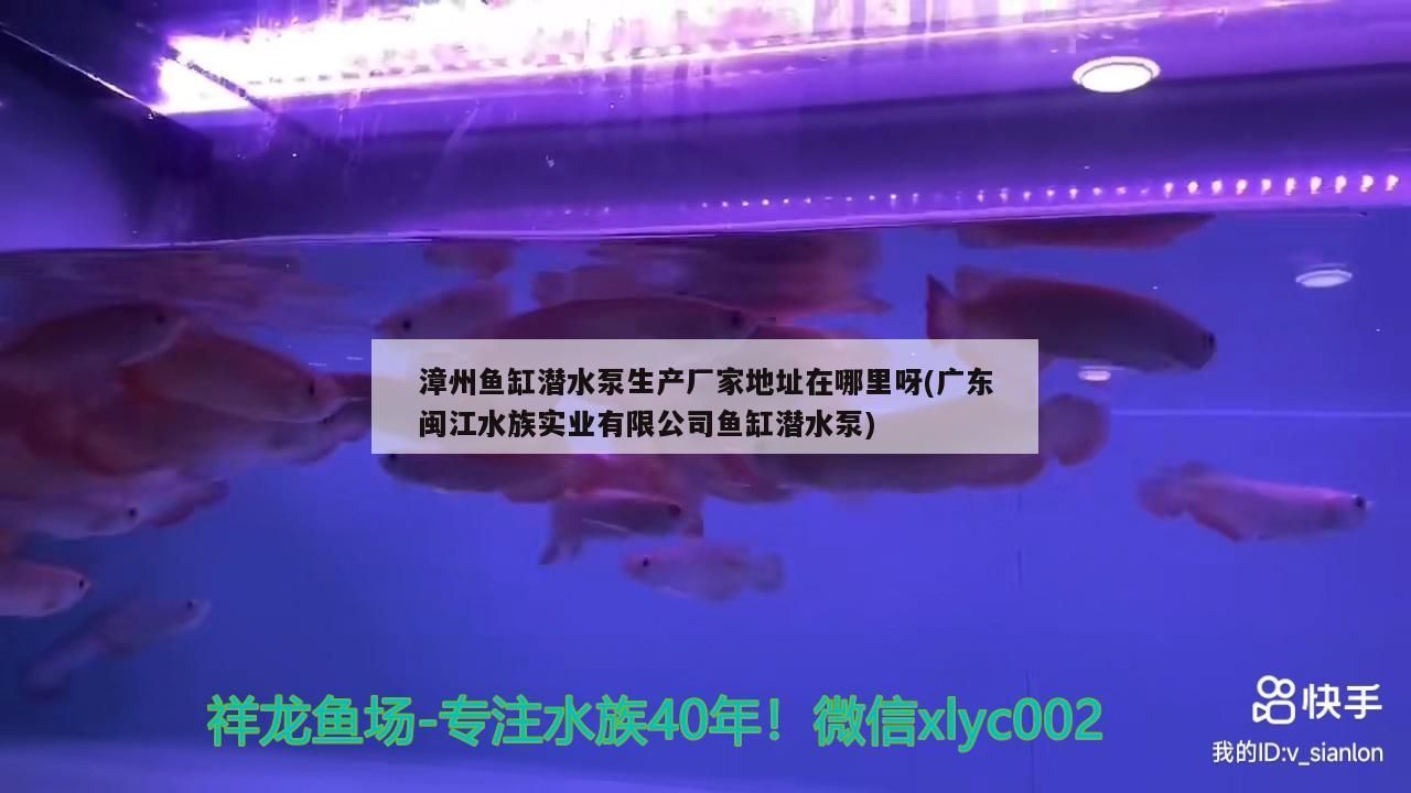 漳州魚缸潛水泵生產(chǎn)廠家地址在哪里呀(廣東閩江水族實業(yè)有限公司魚缸潛水泵)
