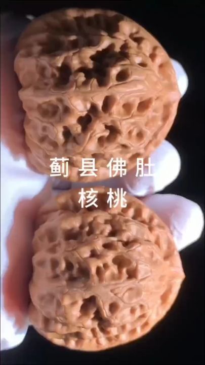 薊縣佛肚核桃