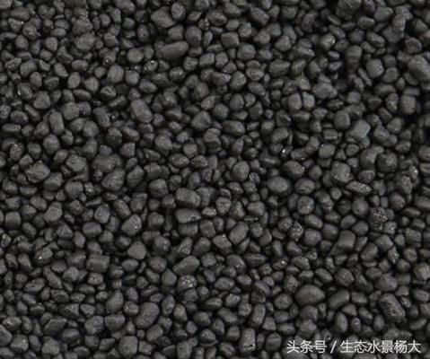 龍魚喂食小魚但是抓不到魚了怎么辦呢：龍魚捕食困境，尋因破局，重拾獵趣