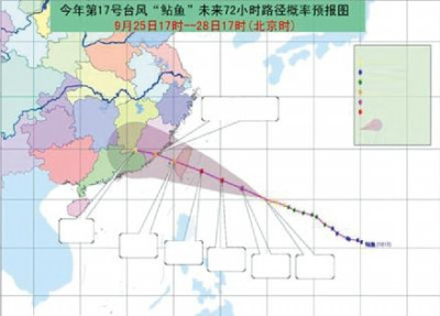 龍魚喂食量與喂食頻率：龍魚喂食，科學之道與養護之美