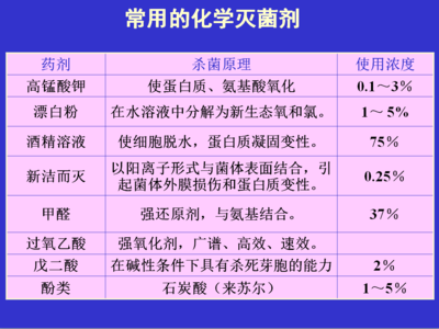 龍魚喂什么食物：探尋龍魚最優食糧，滋養水中貴族的科學之道