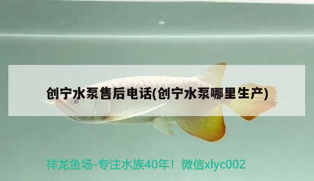 創(chuàng)寧水泵售后電話(創(chuàng)寧水泵哪里生產(chǎn))