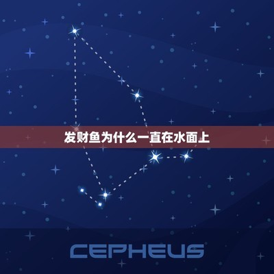 龍魚喂泥鰍一天喂幾次最好呢：龍魚喂食泥鰍的頻率之探究