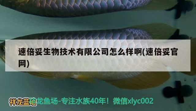 速倍妥生物技術有限公司怎么樣啊(速倍妥官網)
