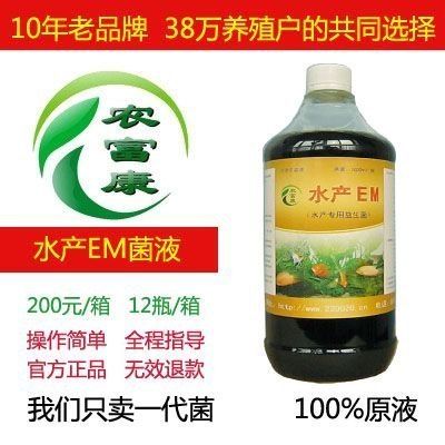 龍魚喂多少魚食最好呢：龍魚喂食，探尋最佳魚食量之謎