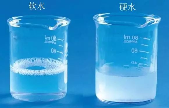 龍魚為什么這么便宜呢：龍魚價格親民背后，市場供需與養殖變革的深度剖析