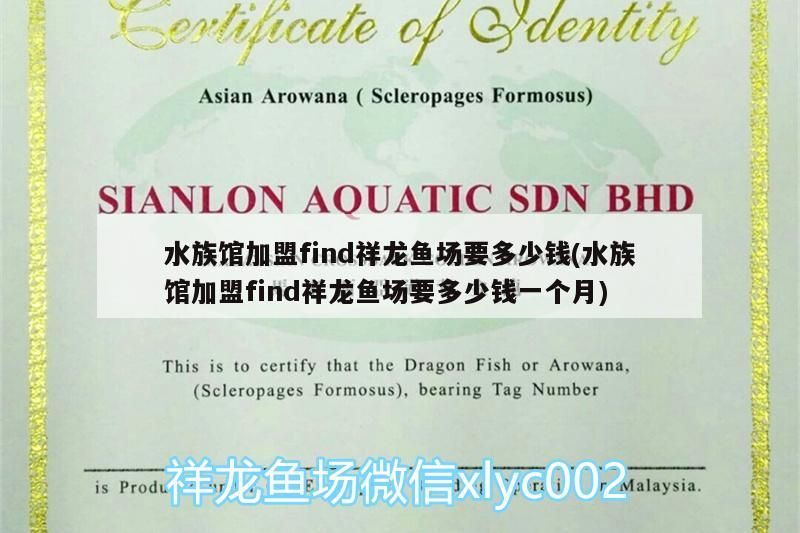 水族館加盟find祥龍魚場要多少錢(水族館加盟find祥龍魚場要多少錢一個月)
