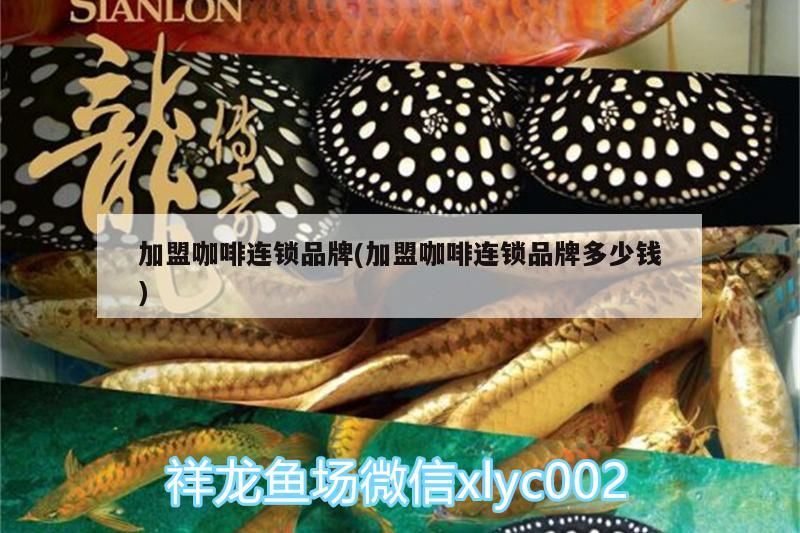 加盟咖啡連鎖品牌(加盟咖啡連鎖品牌多少錢)