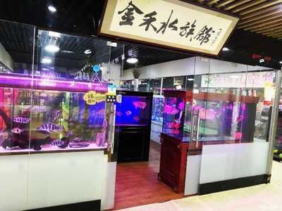 觀賞魚寄養多少錢（觀賞魚寄養費用怎么算？）