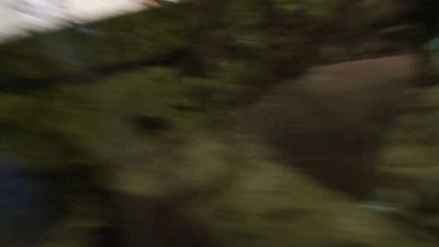 水族館旅游景點（<strong><mark>上海</mark></strong>水族館科普活動安排,釜山水族館海底隧道體驗）