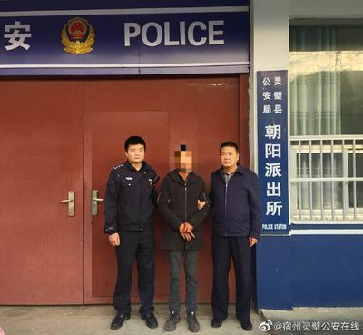 龍魚圖片價格：探秘龍魚圖片背后的價格奧秘