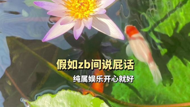 龍魚突然不吃食了怎么回事兒：龍魚突然絕食？探秘背后的神秘緣由