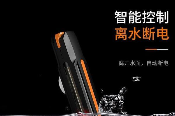 龍魚體型哪種好看些圖片：龍魚之魅，探尋體型之美的多元風姿