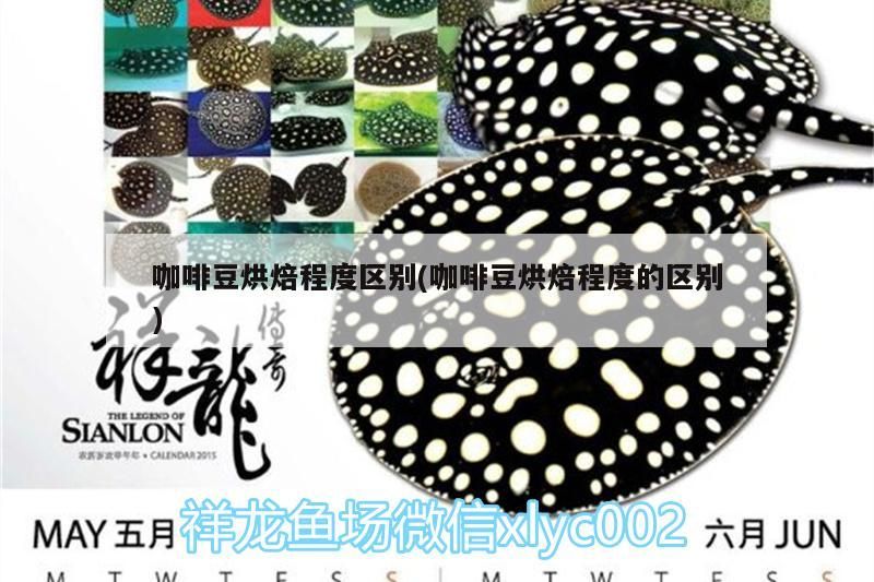 印尼虎魚多少溫度飼養(yǎng)最好:印尼虎魚多少溫度飼養(yǎng)最好印尼虎魚多少溫度飼養(yǎng)最好 咖啡豆烘焙程度區(qū)別(咖啡豆烘焙程度的區(qū)別) 馬來西亞咖啡 咖啡豆烘焙程度區(qū)別(咖啡豆烘焙程度的區(qū)別) 咖啡豆烘焙程度區(qū)別(咖啡豆烘焙程度的區(qū)別) 馬來西亞咖啡