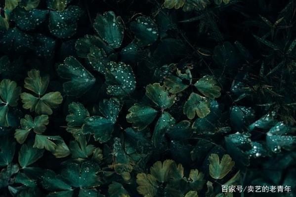 中山魚缸改造廠家聯系方式電話地址及電話(中山魚缸改造廠家聯系方式電話地址及電話號碼)