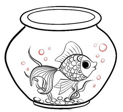 水族館魚缸水那么清用什么藥了：如何自制魚缸水質(zhì)凈化劑