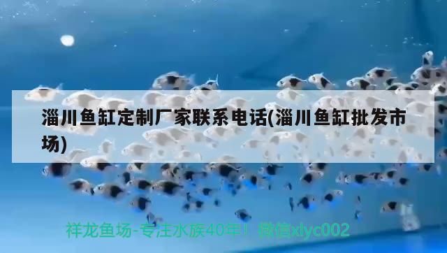 淄川魚缸定制廠家聯系電話(淄川魚缸批發市場)
