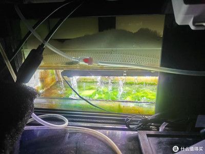 博特魚缸過濾：博特魚缸過濾系統