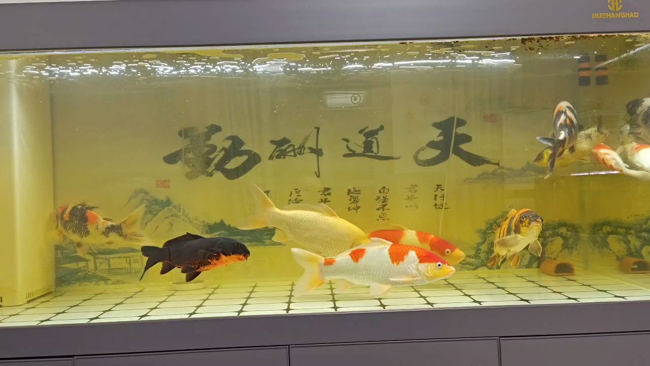 黃水還是沒解決