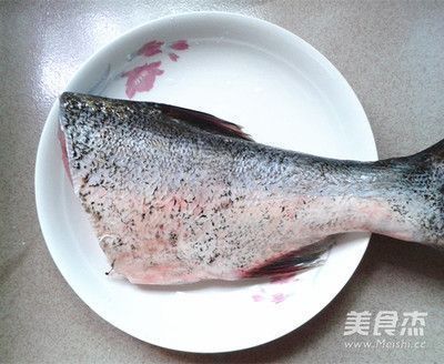 龍魚飼養(yǎng)技巧圖解教程視頻大全：龍魚飼養(yǎng)技巧全攻略，圖解教程視頻助你成為養(yǎng)魚達(dá)人