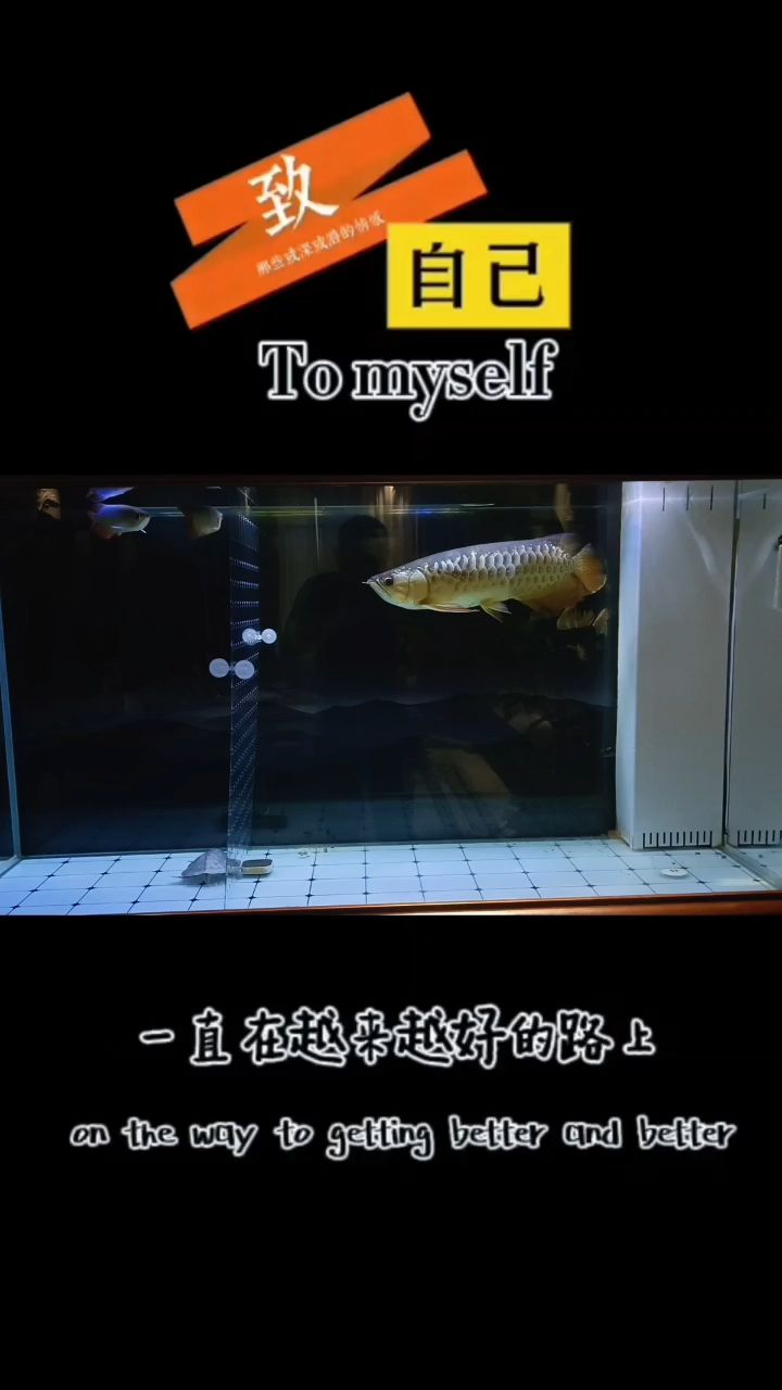 時(shí)間過得真快