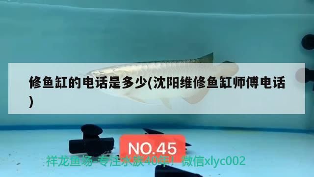 底濾魚缸濾材怎么更換(魚缸底濾濾材安裝)