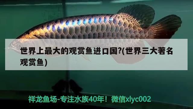 鄰水縣水族館肥腸魚餐飲店